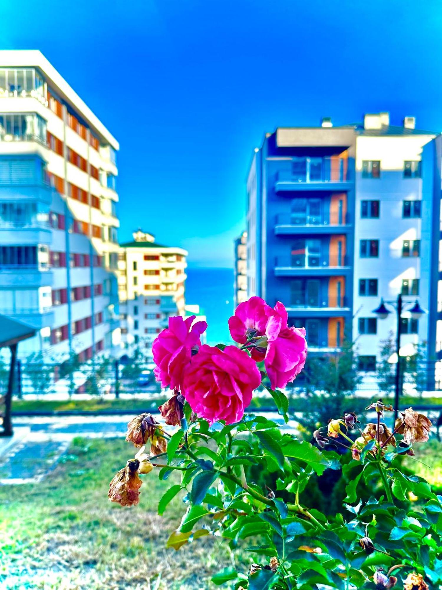 Bazalt Apart Hotel Trabzon Exteriér fotografie